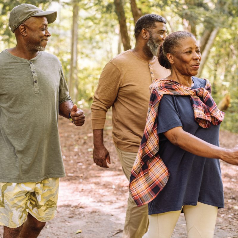 Two men and a women have a group walk in a park
